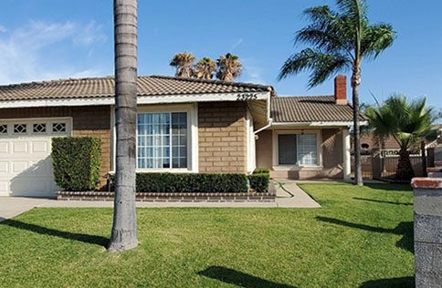 A house with palm trees in the yard