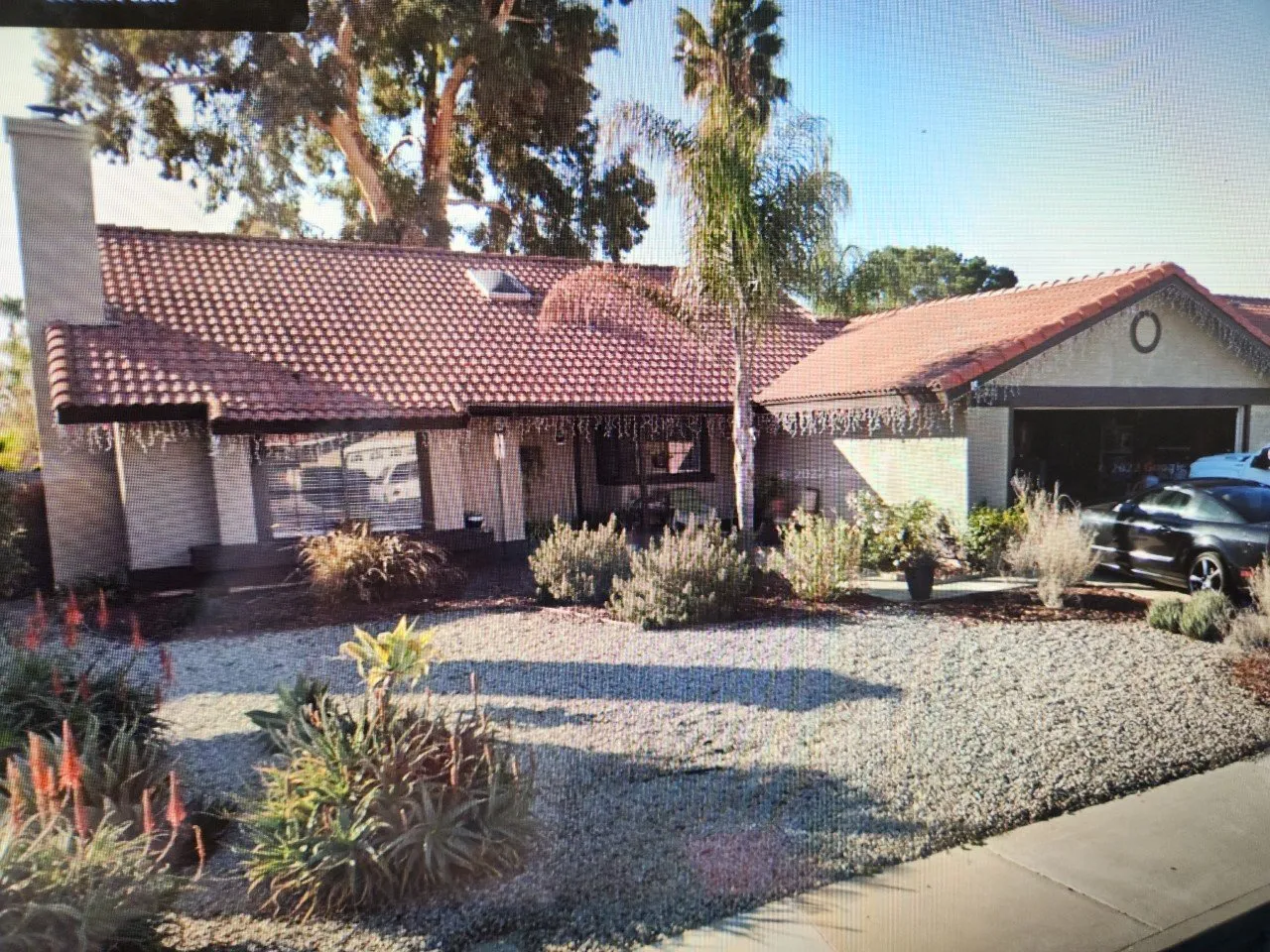 A house with a lot of plants in front